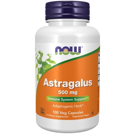 Now Astragalus 500mg Caps 100’s